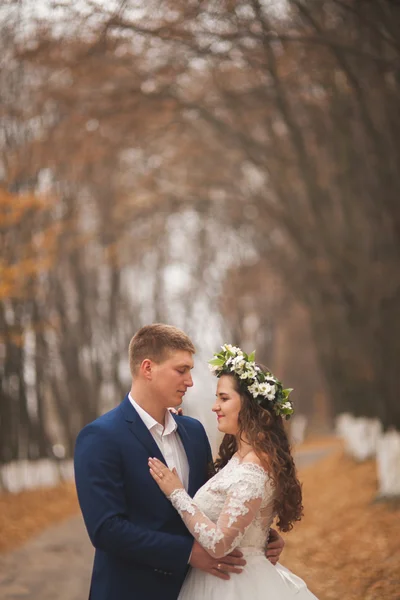 Joyeux mariage couple, mariée et marié marchant dans la forêt d'automne, parc — Photo