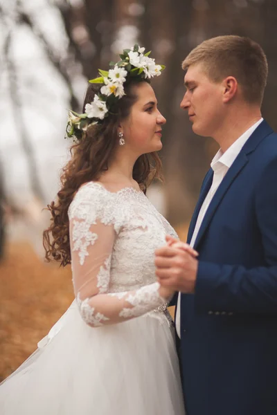 Glückliches Hochzeitspaar, Braut und Bräutigam spazieren im herbstlichen Wald, Park — Stockfoto