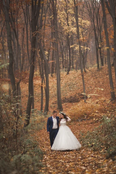 Gelukkig bruidspaar, bruid en bruidegom lopen in de herfst bos, park — Stockfoto