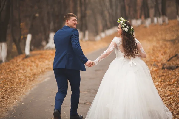 Buon matrimonio coppia, sposa e sposo a piedi nella foresta autunnale, parco — Foto Stock