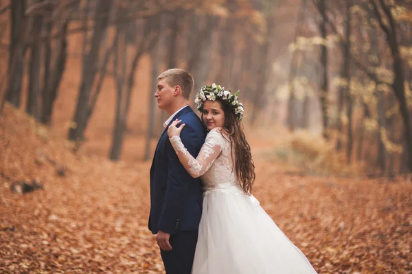 Mutlu evlilik çift, gelin ve damat sonbahar ormanda yürüyüş parkı