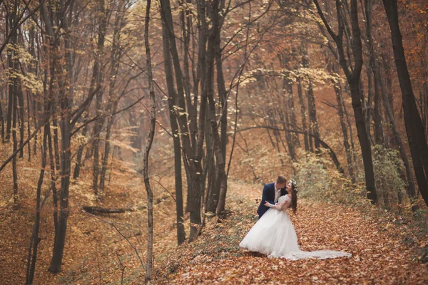 Glückliches Hochzeitspaar, Braut und Bräutigam spazieren im herbstlichen Wald, Park — Stockfoto