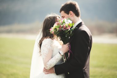 Güzel düğün çift, Gelin, poz ve yüksek Dağları arka planı alanında yürüme damat