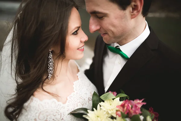 Felice coppia di nozze, sposa e sposo posa fiume pulito sullo sfondo delle montagne — Foto Stock