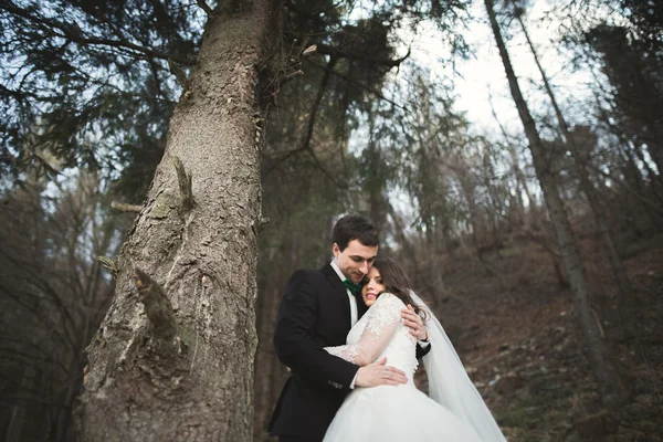 Svatební pár pózuje u borovice lesní. Novomanželé v lásce — Stock fotografie