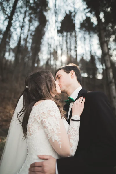 Casamento casal posando perto de pinhal. Recém-casados apaixonados — Fotografia de Stock