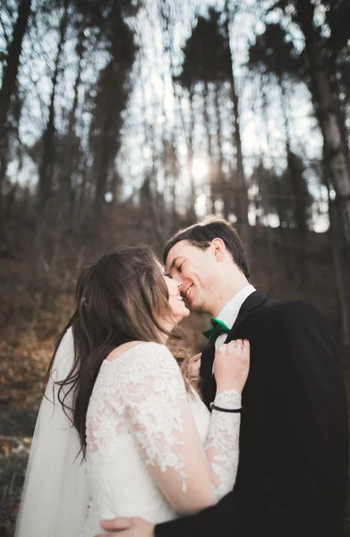 Casamento casal posando perto de pinhal. Recém-casados apaixonados — Fotografia de Stock