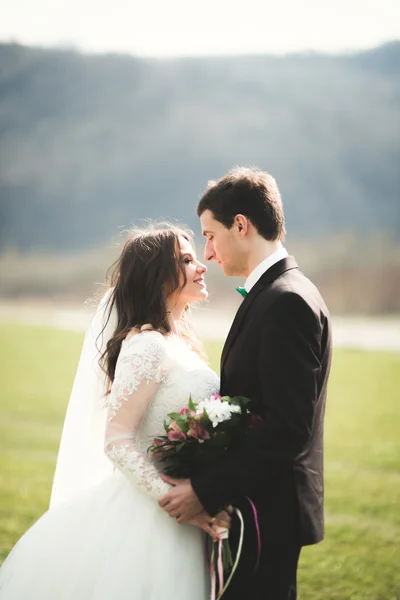 Casal de casamento bonito, noiva, noivo posando e andando em campo contra o fundo de altas montanhas — Fotografia de Stock