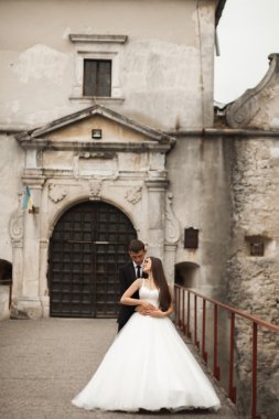 Mutlu düğün kaç sarılma ve birbirlerine arka plan güzel bitkiler kale üzerinde gülümseyen