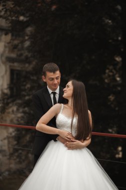 Mutlu düğün kaç sarılma ve birbirlerine arka plan güzel bitkiler kale üzerinde gülümseyen