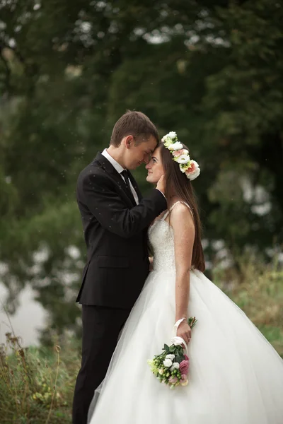 Elegante hermosa pareja de boda posando cerca del lago en el parque —  Fotos de Stock