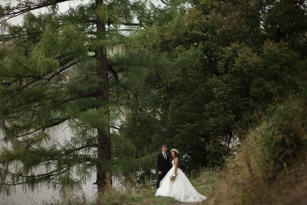 公園の湖に近いポーズ エレガントな美しい結婚式のカップル — ストック写真