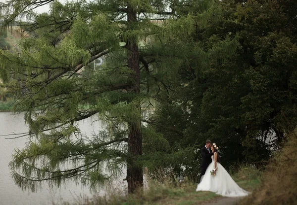 Elegante hermosa pareja de boda posando cerca del lago en el parque — Foto de Stock
