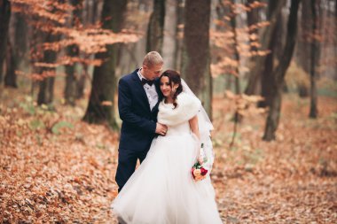 Mutlu evlilik çift, gelin ve damat park sonbaharda poz