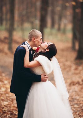 Mutlu evlilik çift, gelin ve damat park sonbaharda poz