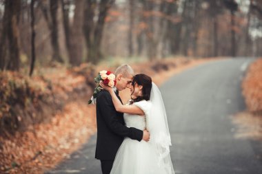 Mutlu evlilik çift, gelin ve damat park sonbaharda poz