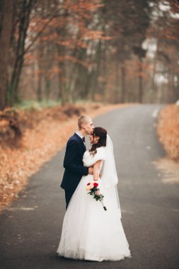 Mutlu evlilik çift, gelin ve damat park sonbaharda poz