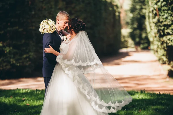 Happy wedding couple, bride and groom posing in park — Stock Photo, Image