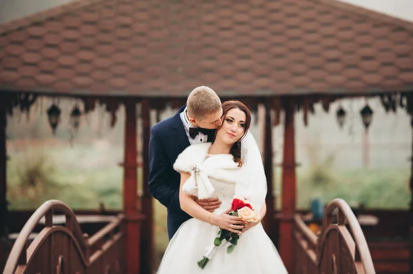 Feliz boda pareja, novia y novio posando en el parque de otoño — Foto de Stock