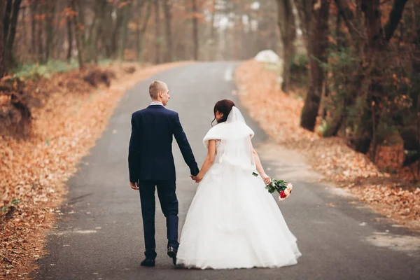 Felice coppia di nozze, sposa e sposo in posa nel parco autunno — Foto Stock