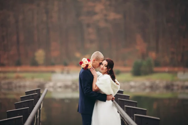 愛と情熱 - 湖の近く結婚して若い結婚式のカップルのキス — ストック写真
