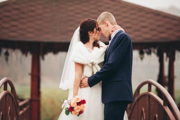 Glückliches Hochzeitspaar, Braut und Bräutigam posieren im Herbst im Park — Stockfoto