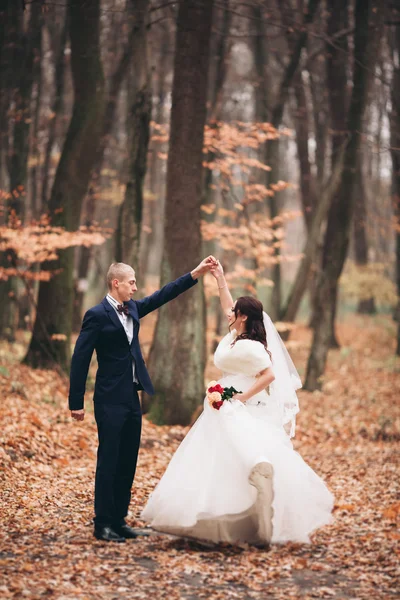 Счастливая свадебная пара, невеста и жених позируют в парке осенью — стоковое фото