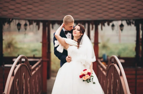 Casal feliz do casamento, noiva e noivo posando no outono do parque — Fotografia de Stock