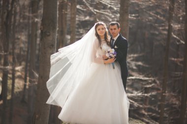 Muhteşem düğün çift öpüşme ve orman büyük kayalar ile sarılma