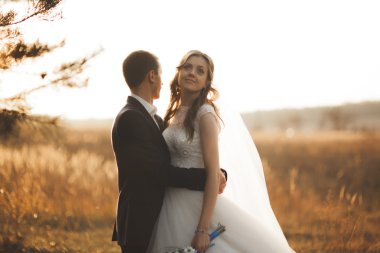 Parkta günbatımında poz zarif güzel düğün çifti