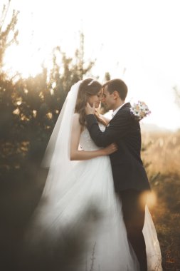 Parkta günbatımında poz zarif güzel düğün çifti