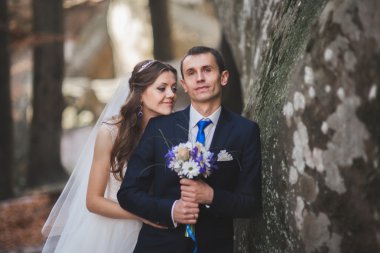 Muhteşem düğün çift öpüşme ve orman büyük kayalar ile sarılma