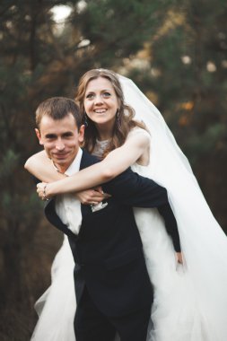 Parkta günbatımında poz zarif güzel düğün çifti