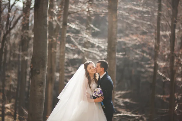 豪華な結婚式のカップルのキスとハグを大きな岩の森で — ストック写真