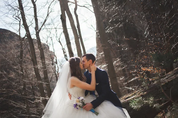 Hermosa pareja de boda besándose y abrazándose en el bosque con grandes rocas —  Fotos de Stock