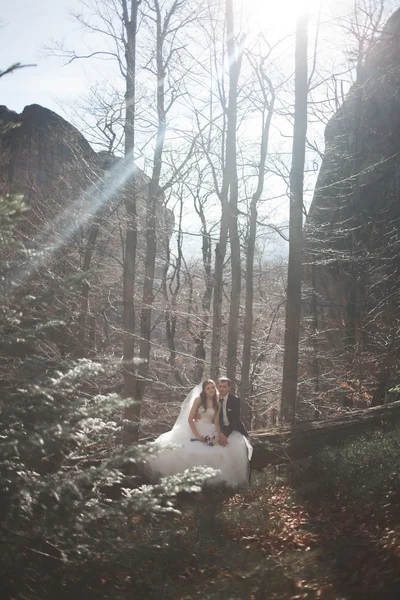 Wunderschönes Hochzeitspaar küsst und umarmt sich im Wald mit großen Felsen — Stockfoto