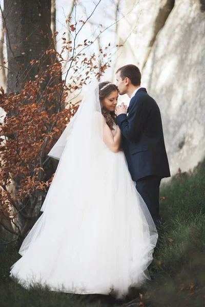 Hermosa pareja de boda besándose y abrazándose en el bosque con grandes rocas —  Fotos de Stock