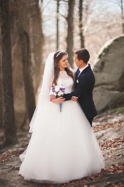 Muhteşem düğün çift öpüşme ve orman büyük kayalar ile sarılma — Stok fotoğraf
