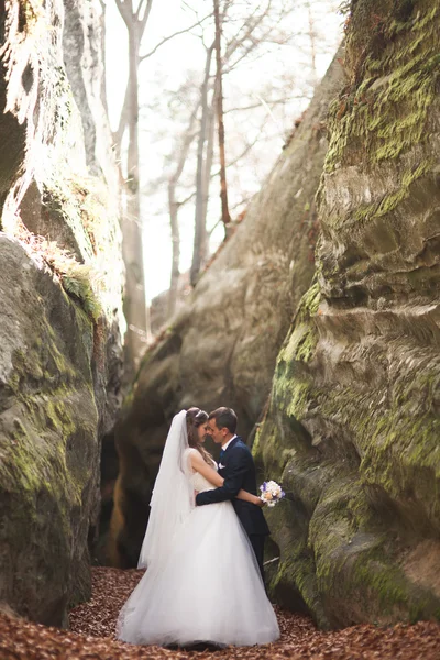 Wunderschönes Hochzeitspaar küsst und umarmt sich im Wald mit großen Felsen — Stockfoto