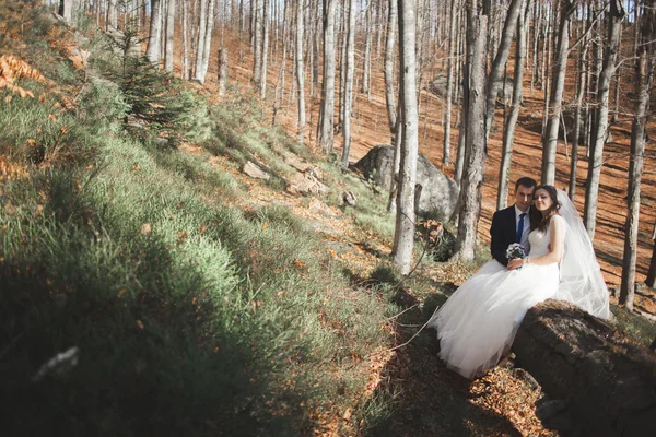 Lindo casamento casal beijos e abraços na floresta com grandes pedras — Fotografia de Stock