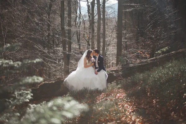 Prachtige bruiloft paar zoenen en knuffelen in bos met grote rotsen — Stockfoto