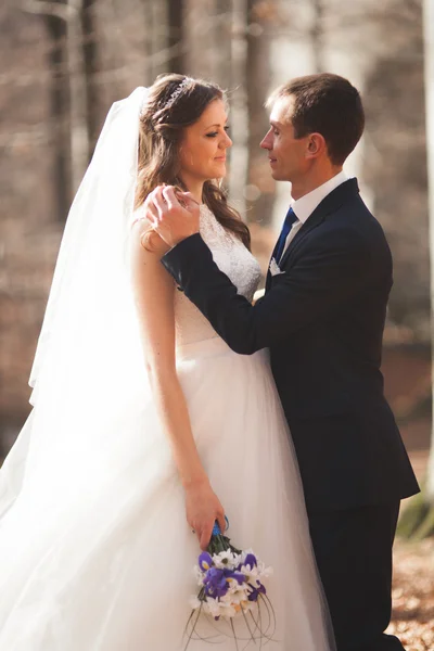 Lindo casamento casal beijos e abraços na floresta com grandes pedras — Fotografia de Stock