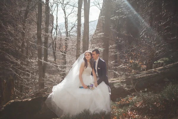 Underbara bröllop par kyssar och kramar i skogen med stora stenar — Stockfoto