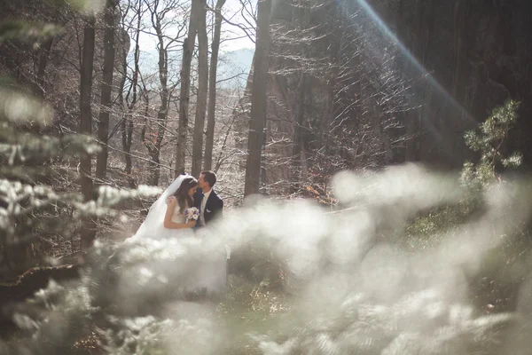 Lindo casamento casal beijos e abraços na floresta com grandes pedras — Fotografia de Stock