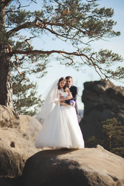 Lindo casamento casal beijos e abraços na floresta com grandes pedras — Fotografia de Stock
