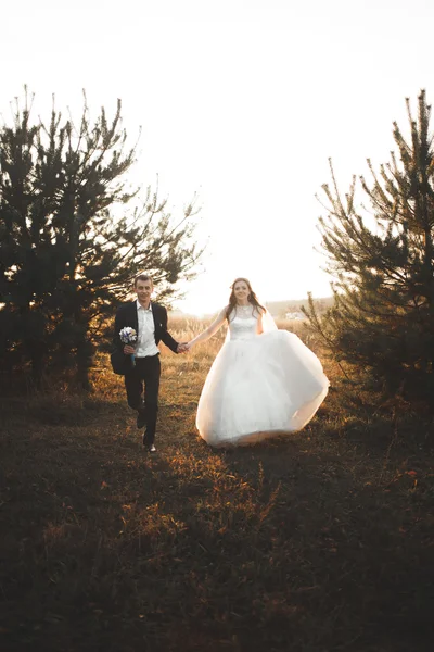 Elegante hermosa pareja de boda posando en el parque al atardecer — Foto de Stock