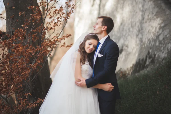 Gorgeous wedding couple kissing and hugging in forest with big rocks — Stock Photo, Image