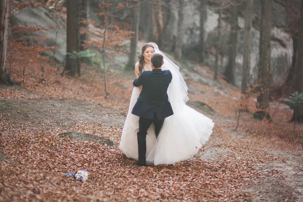 Wunderschönes Hochzeitspaar küsst und umarmt sich im Wald mit großen Felsen — Stockfoto