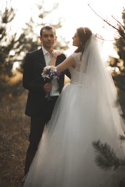 Casal lindo elegante posando no parque ao pôr do sol — Fotografia de Stock