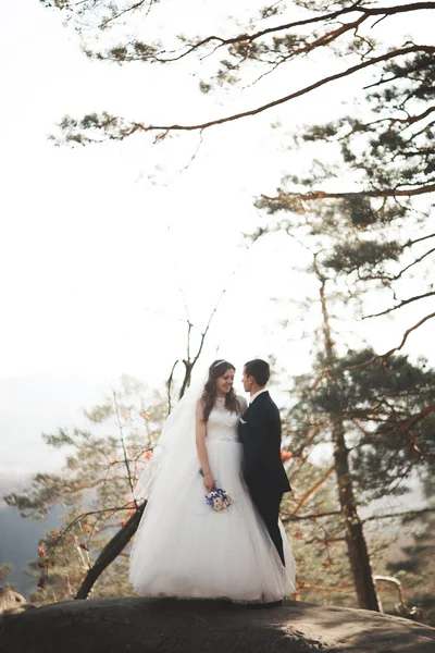 Splendido matrimonio coppia baci e abbracci nella foresta con grandi rocce — Foto Stock